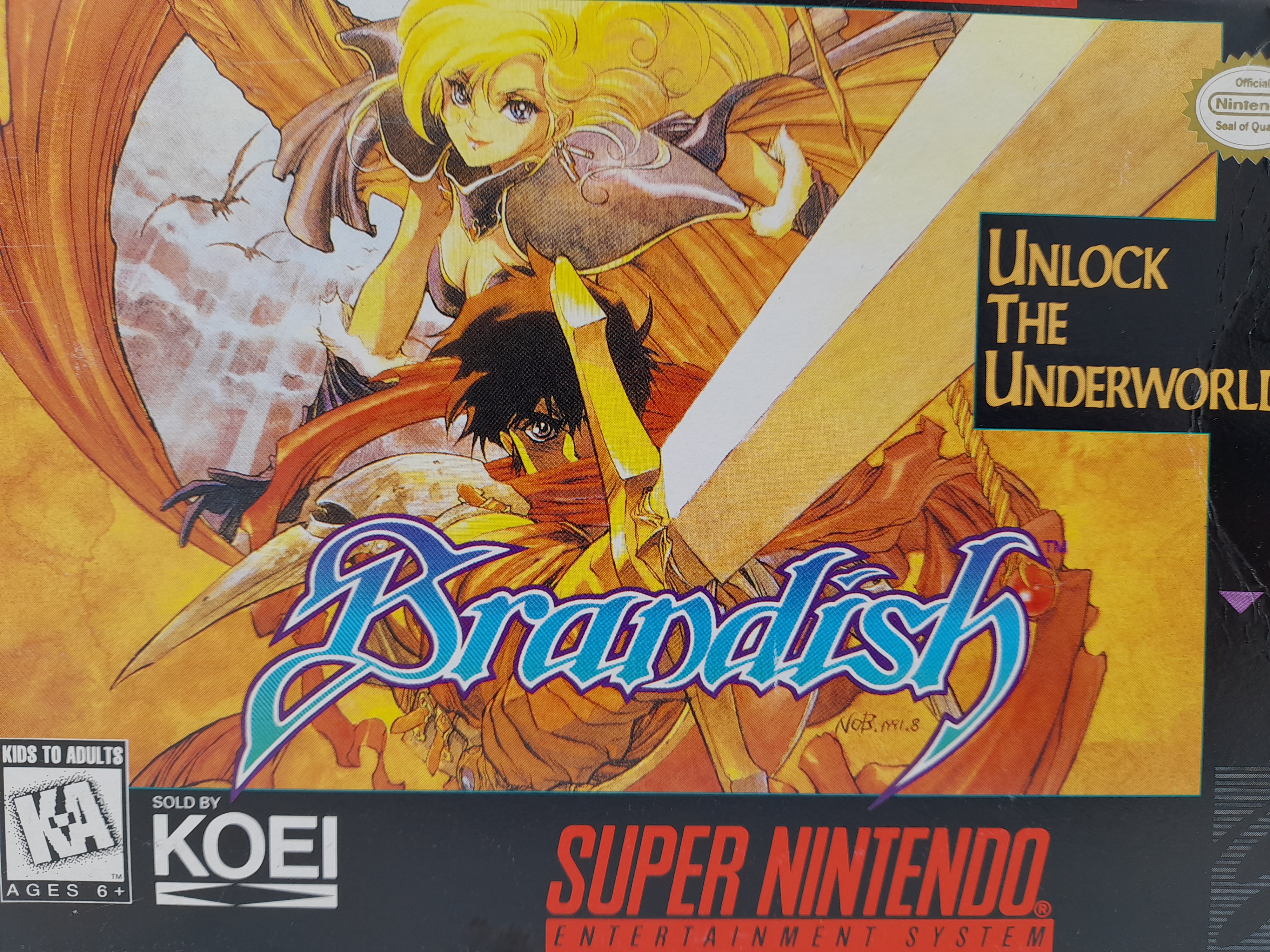 Foto van Brandish (NTSC) Compleet