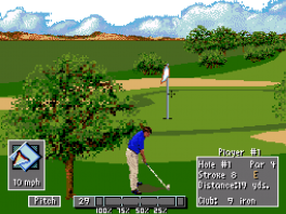 Golf spellen op de <a href = https://www.mariosnes.nl/Super-Nintendo-game.php?t=Super_Nintendo target = _blank>Super Nintendo</a>, laat ze achterwegen want het systeem kan zoveel details niet verwerken in mooie graphics.