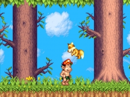 Super Adventure Island: Screenshot